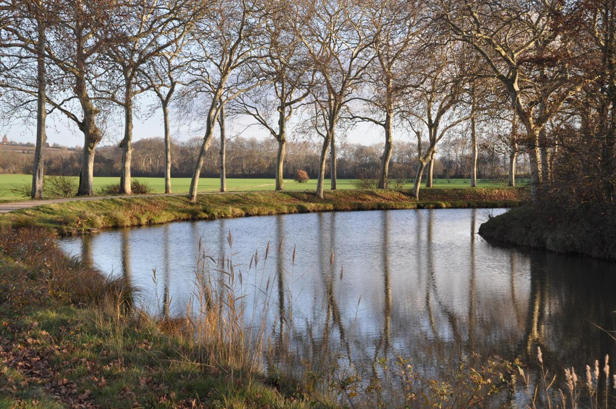 Domaine De Hurlevent Montgaillard-Lauragais Exteriör bild